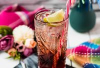 Raspberry Gin and Tonic Cocktail Recipe