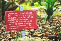 Sunday at Kirstenbosch National Botanical Garden, Cape Town
