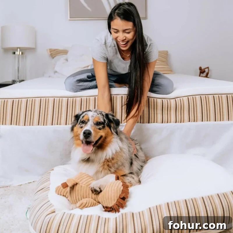 7 Non-Toxic Organic Vegan Mattresses for Every Budget 5 organic non toxic vegan mattress essentia