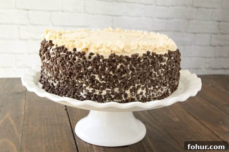 Creamy Cannoli Layer Cake Recipe with Ricotta Filling 2 Cannoli Cake Recipe - an easy Italian cake with cannoli filling and loaded with mini chocolate chips