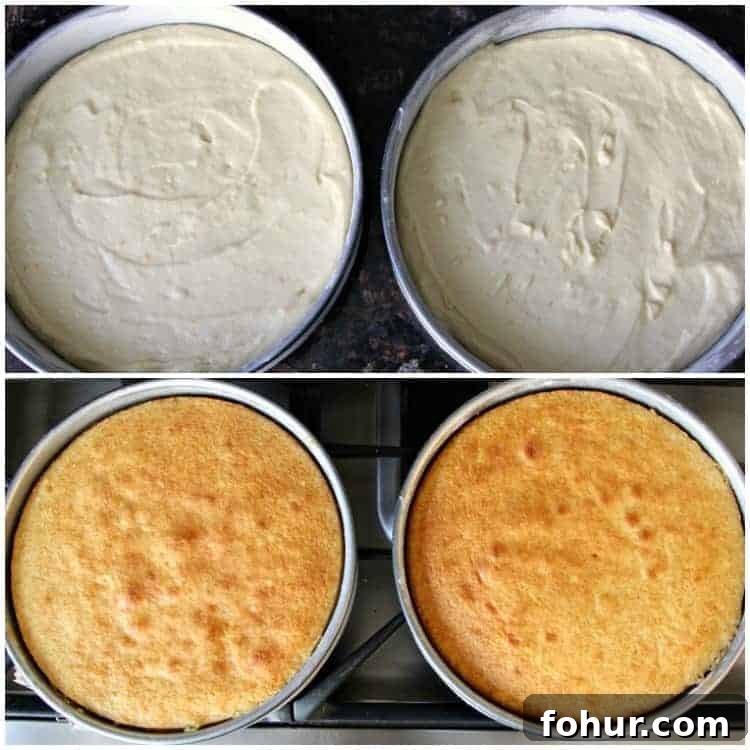 Creamy Cannoli Layer Cake Recipe with Ricotta Filling 5 Cannoli Cake Recipe - before and after baking the cannoli cake layers