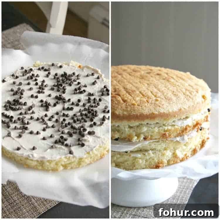 Creamy Cannoli Layer Cake Recipe with Ricotta Filling 6 Cannoli Cake Recipe - how to frost a cannoli cake with cannoli cake filling