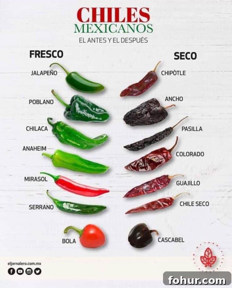 Mexican Chiles: Fresh and Dried Pepper Varieties 2 Infographic comparing fresh and dried Mexican chiles, showing how jalapeño becomes chipotle, poblano becomes ancho, chilaca becomes pasilla, Anaheim becomes chile colorado, mirasol becomes guajillo, serrano becomes chile seco, and bola becomes cascabel.