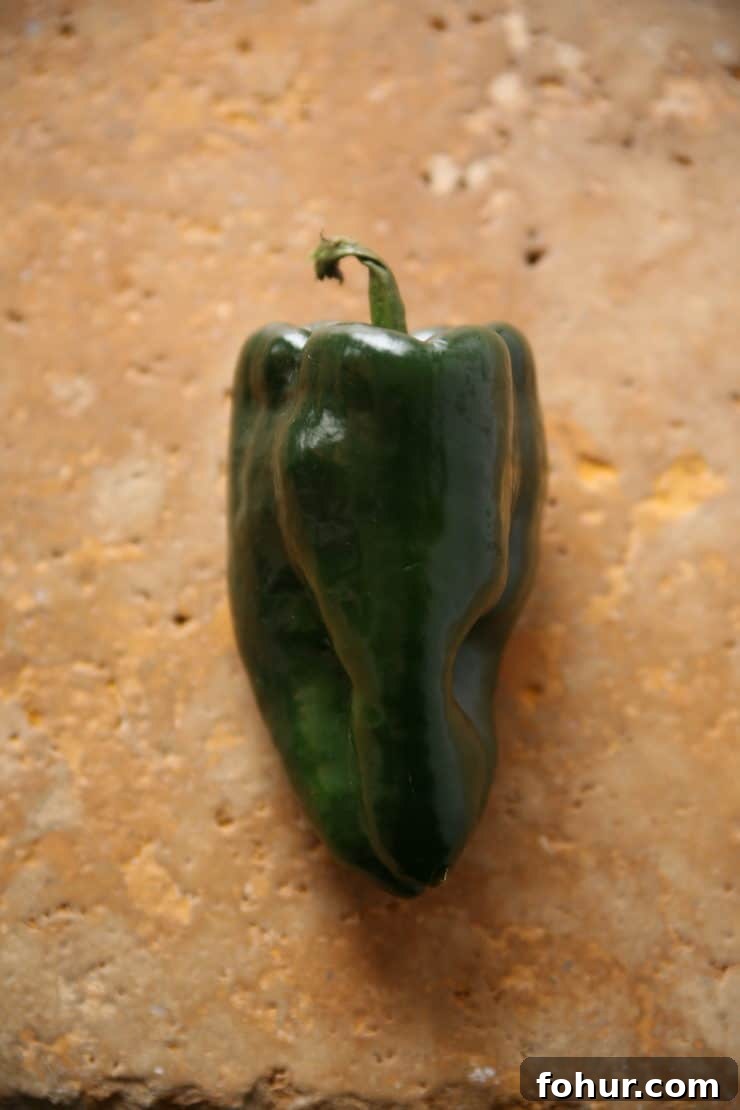 Mexican Chiles: Fresh and Dried Pepper Varieties 3 Fresh poblano chile pepper with glossy dark green skin, commonly roasted for chile rellenos, rajas, and other traditional Mexican recipes.