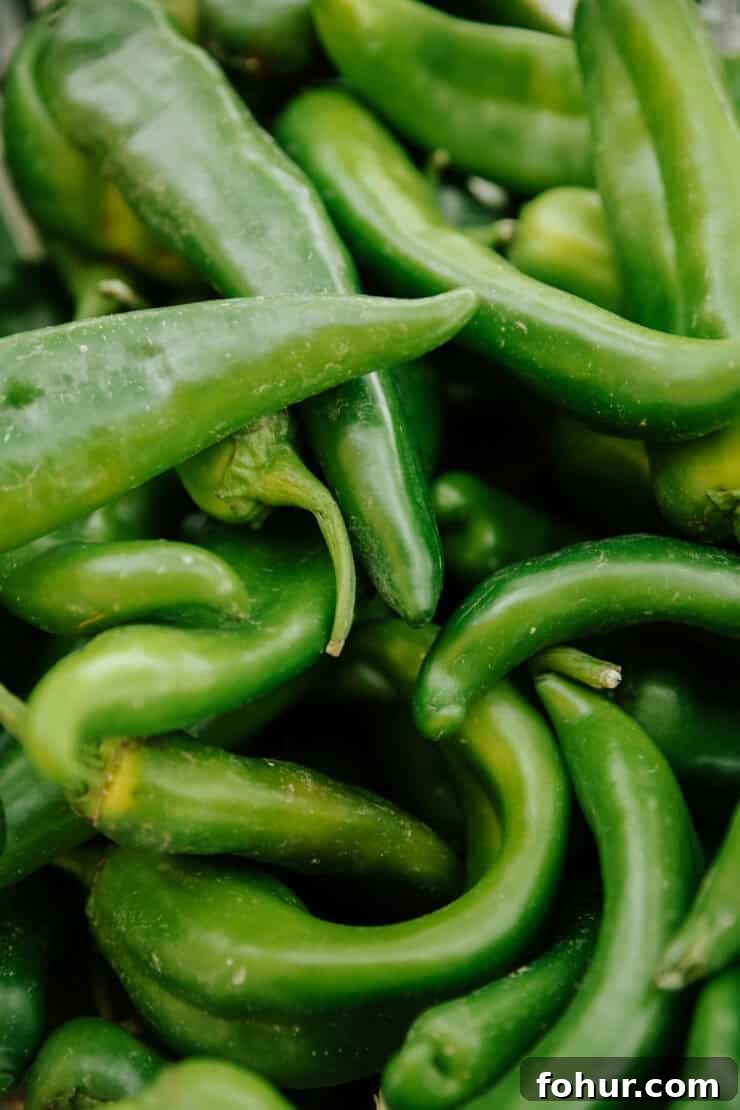 Mexican Chiles: Fresh and Dried Pepper Varieties 5 Fresh Hatch green chile pepper grown in New Mexico, known for its earthy flavor and commonly roasted for sauces, stews, and enchiladas.