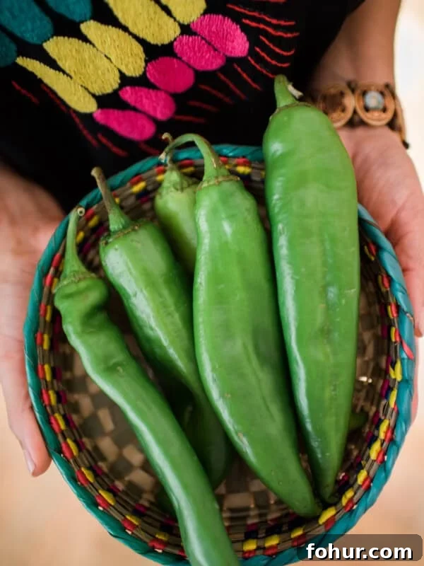 woman in a black shirt embroidered with bright pink, yellow, and turquoise holding a colorful woven rattan bowl with fresh anaheim peppers.
