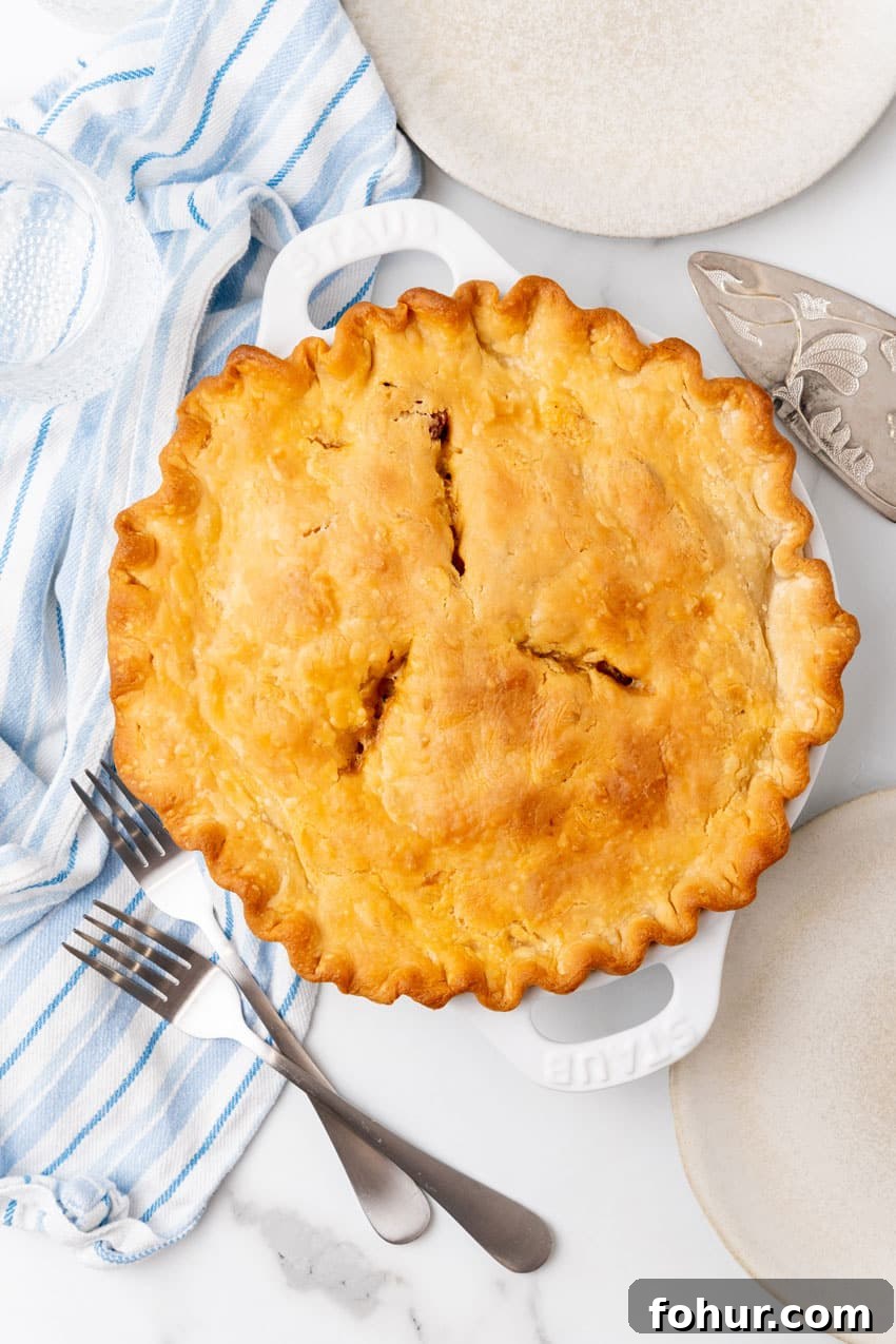 Smoked Sausage and Chicken Pot Pie Recipe with Flaky Crust 4 a baked creole pot pie in a white pie plate