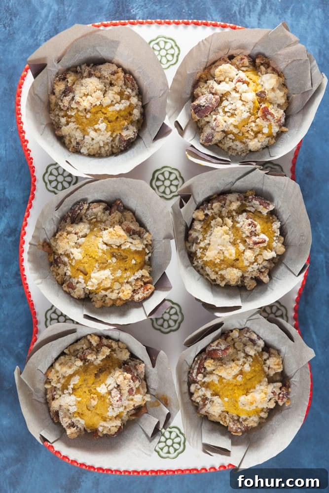 Blender Sweet Potato Muffins with Spiced Pecan Streusel 4 Spiced Sweet Potato Streusel Blender Muffins Recipe (Less Sugar)