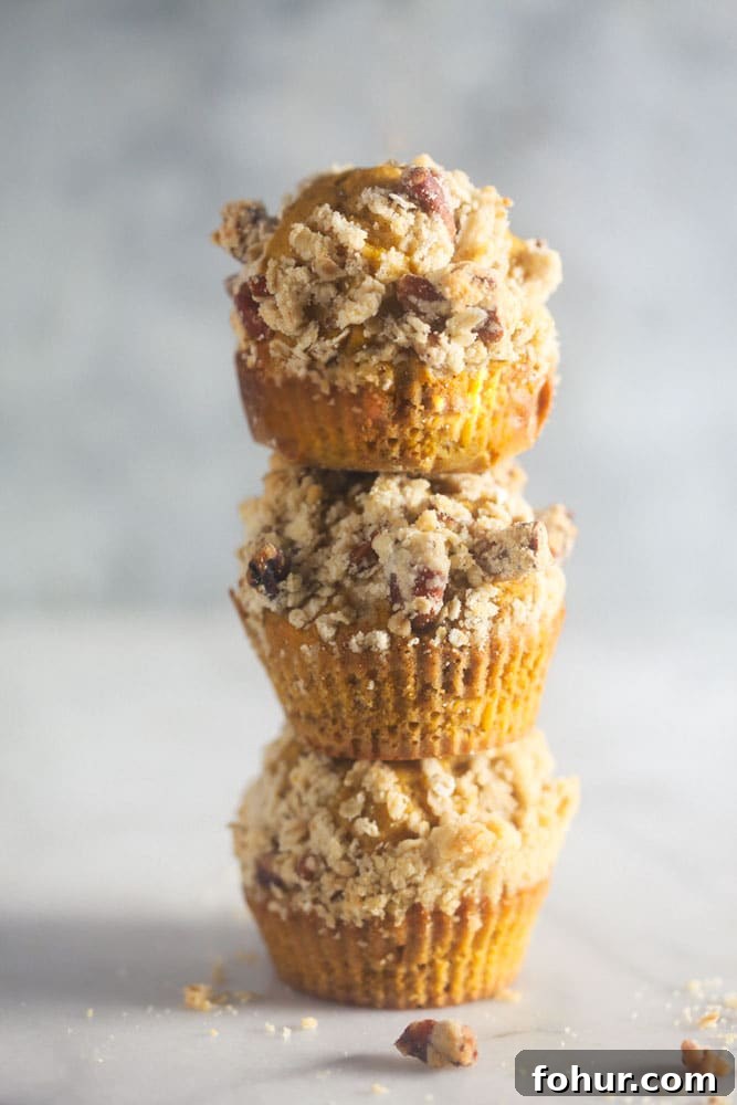 Blender Sweet Potato Muffins with Spiced Pecan Streusel 6 Spiced Sweet Potato Streusel Blender Muffins Recipe (Less Sugar)