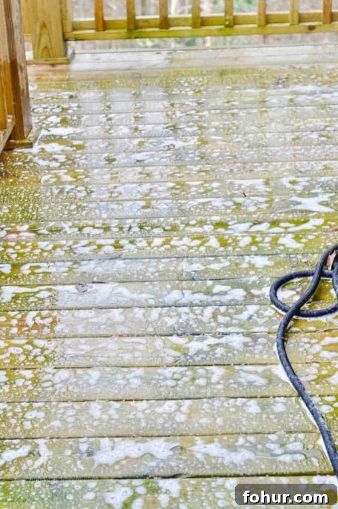 How to Remove Green Algae Stains from a Wood Deck 9 wood deck sprayed with wet and forget.