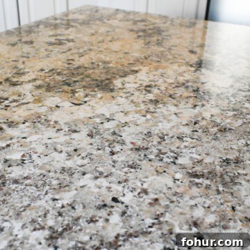 alaska white granite countertop.