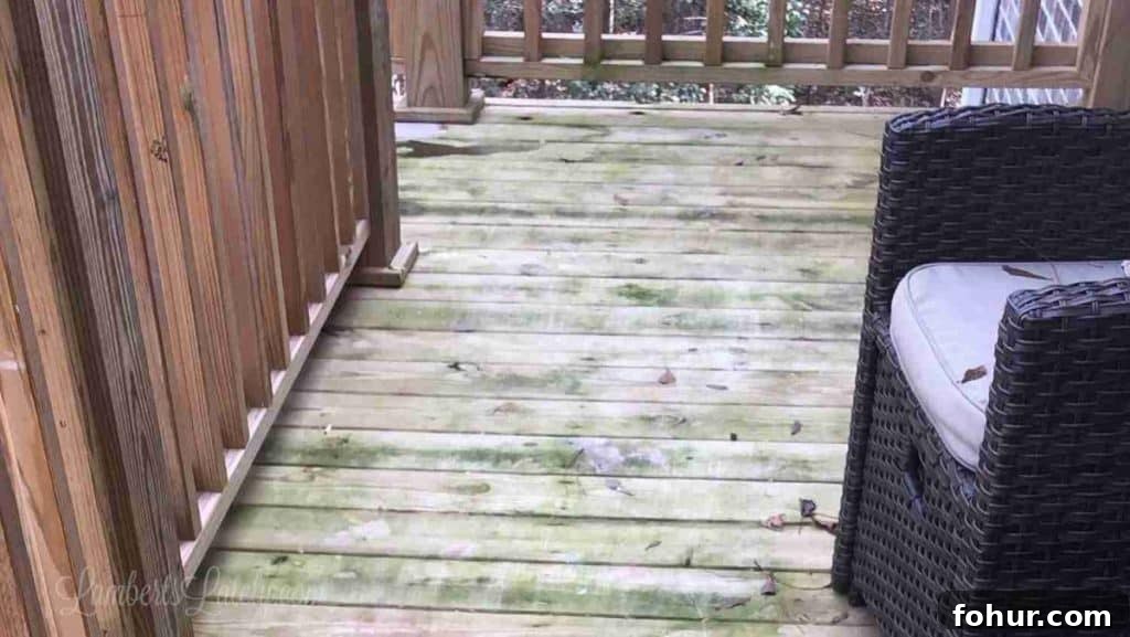 How to Remove Green Algae Stains from a Wood Deck 3 Wood deck with green algae stains and outdoor furniture on a sunny day.