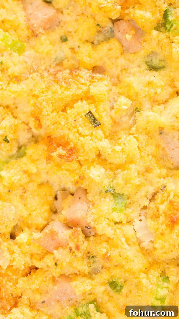 Extreme close up of cornbread & sausage stuffing