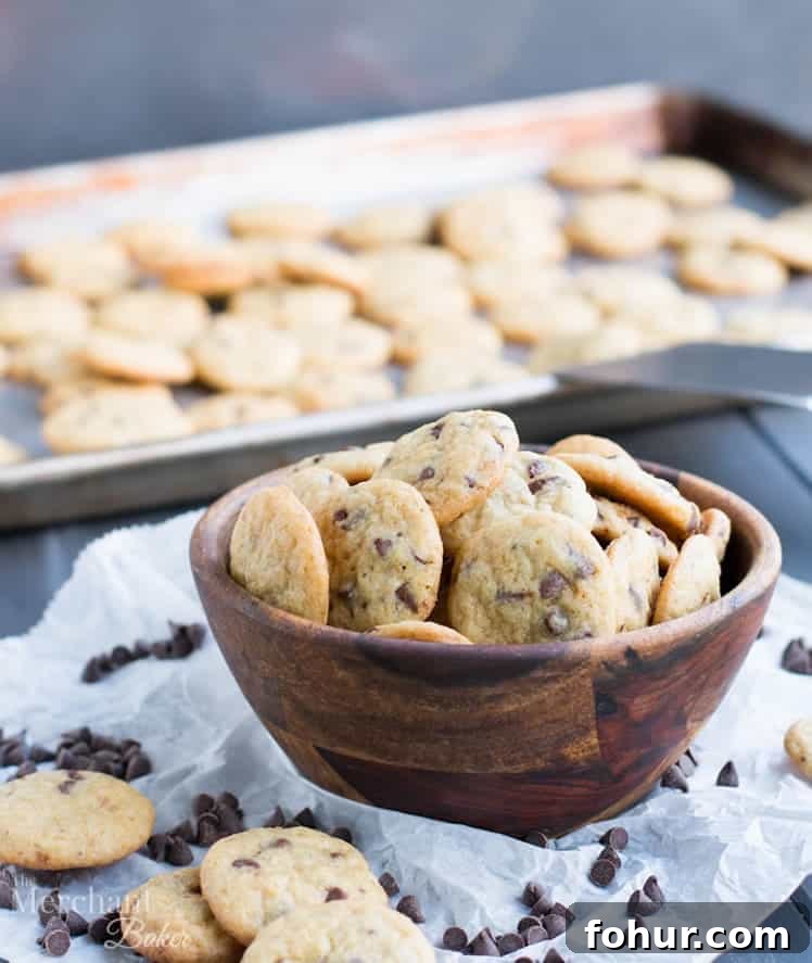 One Bite Mini Chocolate Chip Cookies