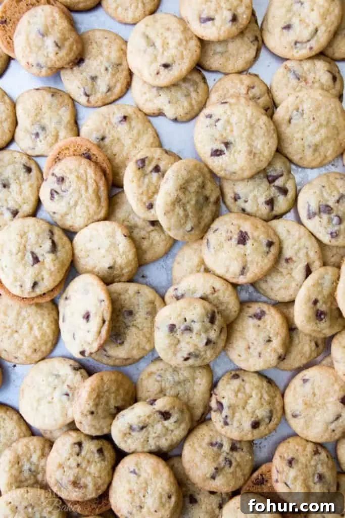 One Bite Mini Chocolate Chip Cookies