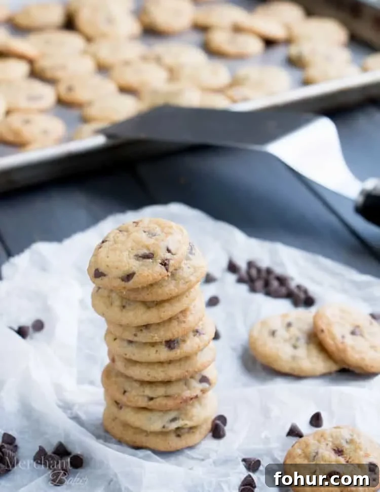 One Bite Mini Chocolate Chip Cookies