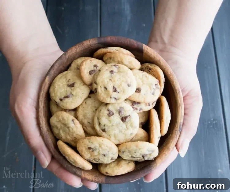One Bite Mini Chocolate Chip Cookies