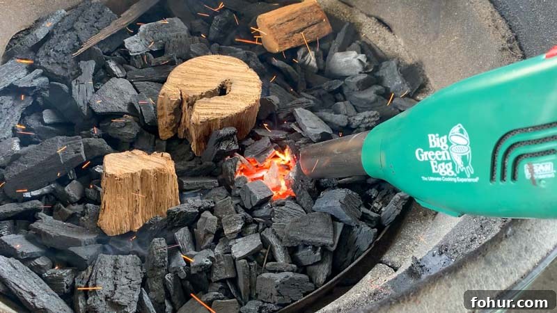 Smoked Vietnamese Fish Sauce Chicken Wings on Big Green Egg 4 img 1279 3