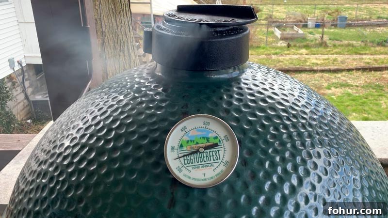 Smoked Vietnamese Fish Sauce Chicken Wings on Big Green Egg 5 img 1279 4