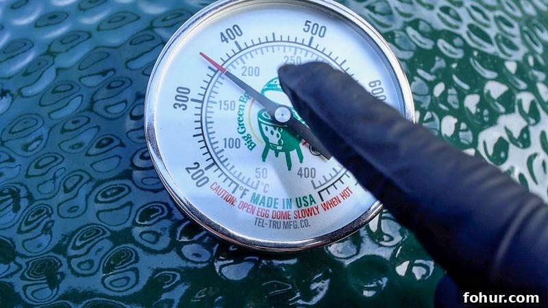 Smoked Vietnamese Fish Sauce Chicken Wings on Big Green Egg 8 img 1279 7