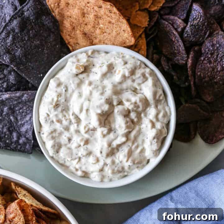 Gluten Free Caramelized Onion Dip
