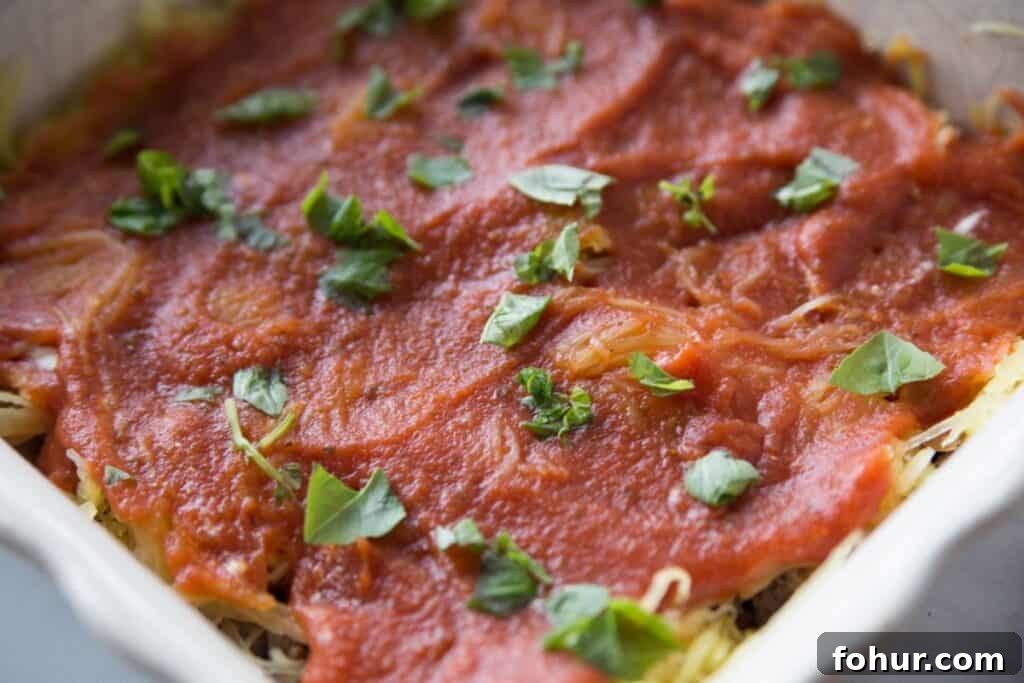 Low-Carb Spaghetti Squash Lasagna Recipe 9 Spaghetti squash topped with sauce and basil in a baking dish.
