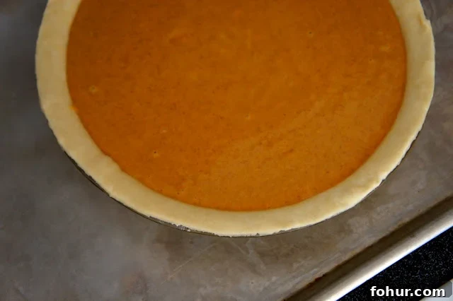 A close up of a pie on a baking pan