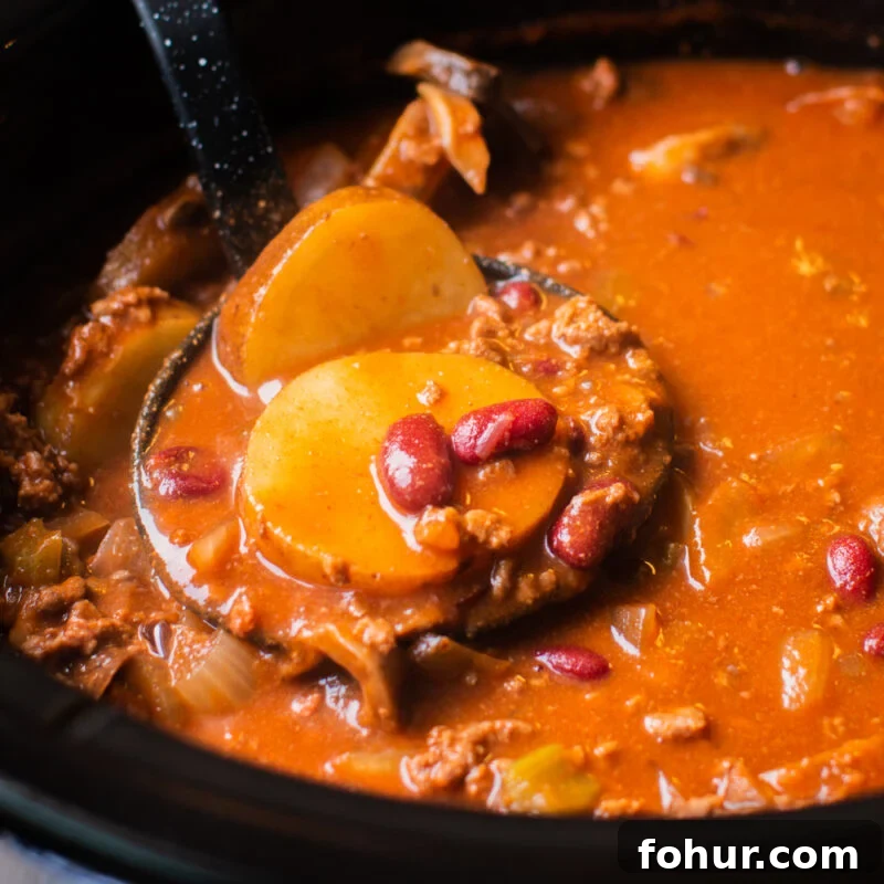 Shipwreck Stew Recipe: Rustic Seafood and Root Vegetable Soup 6 serving tomato-based stew with potatoes and kidney beans with a ladle