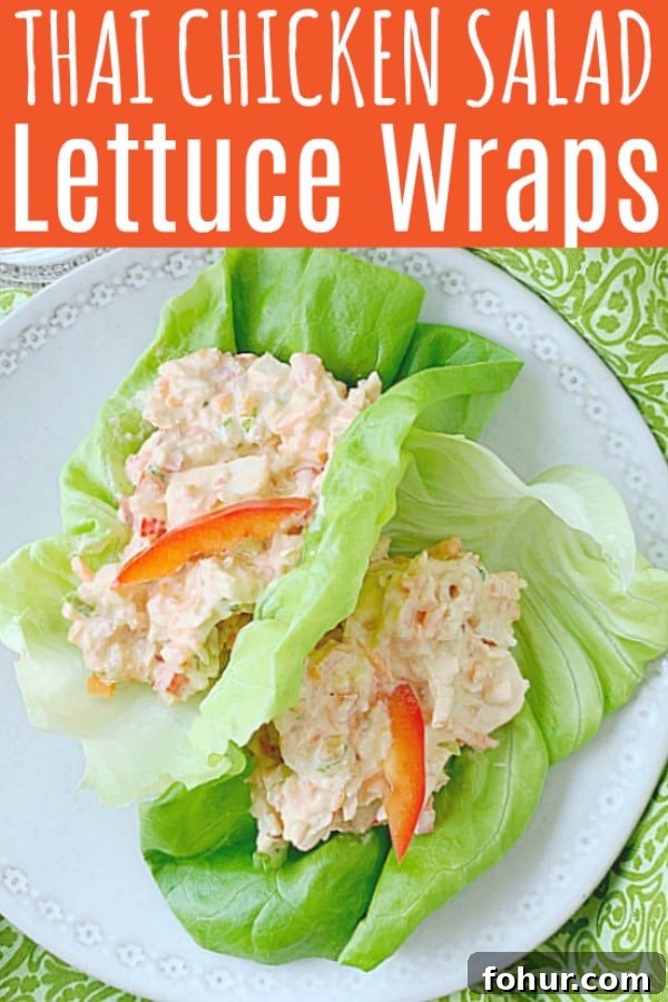 Thai Chicken Salad Lettuce Wraps | Foodtastic Mom