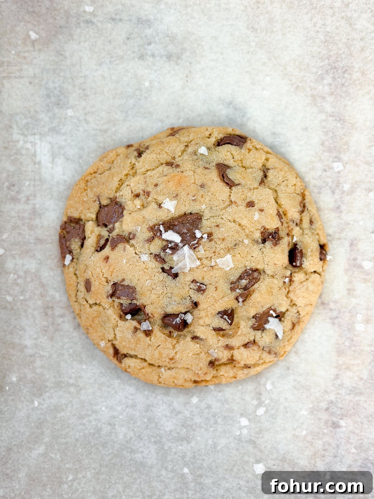 a close up of the whole single serve chocolate chip cookie.