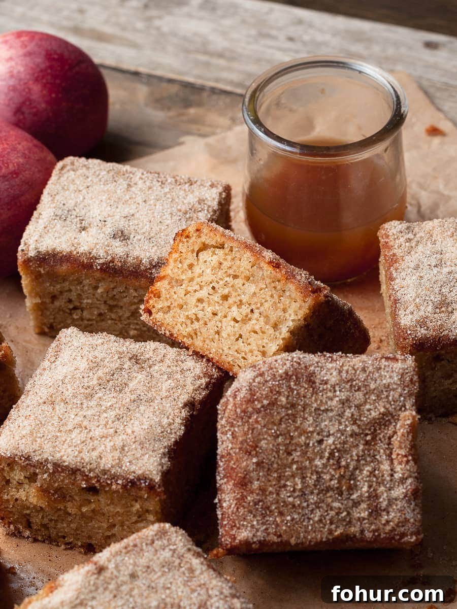 Gluten-Free Apple Cider Cake Recipe 5 pieces of gluten free apple cider doughnut cake