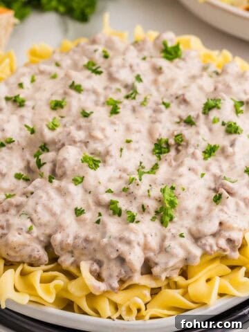 Finished ground beef stroganoff served over wide egg noodles and garnished with chopped parsley.