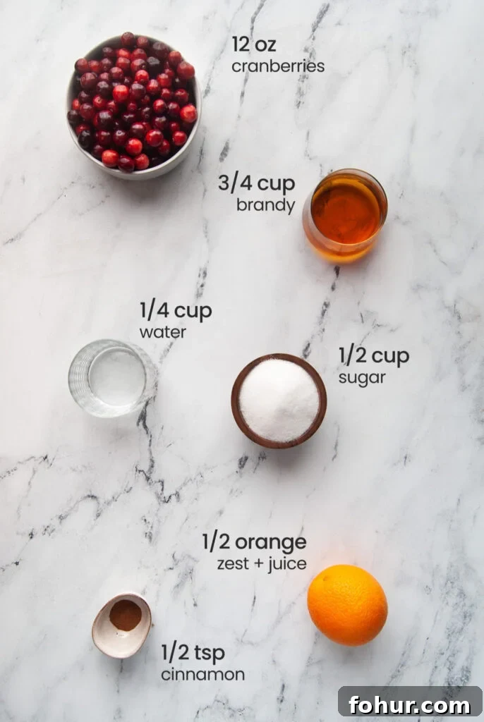 Everything you need to make Brandied Cranberry Sauce including cranberries, brandy, water, sugar, cinnamon, and an orange.