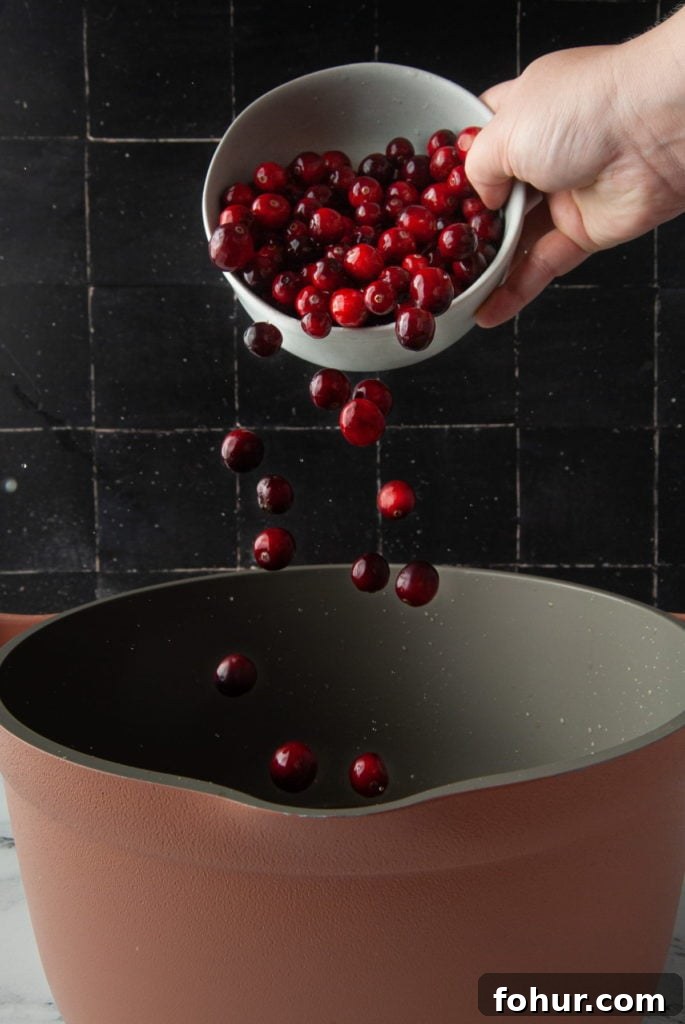 Adding fresh cranberries to a large pot to make sauce.