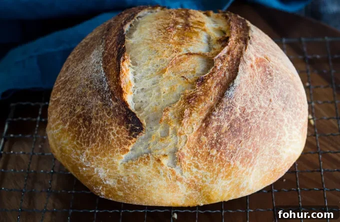 Overnight Sourdough Bread Recipe – Perfect for Beginners