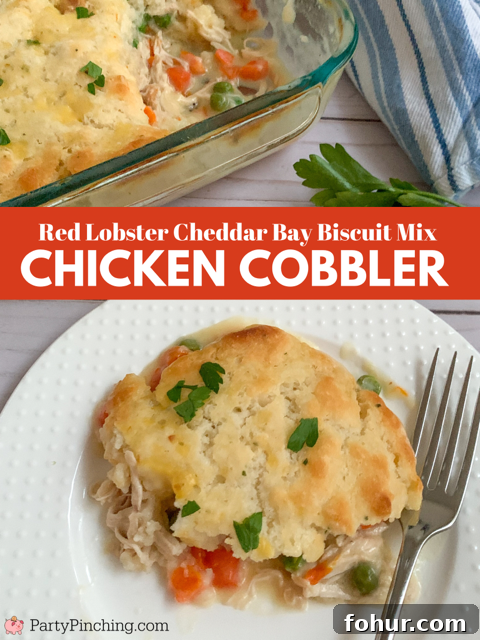 Quick One-Pan Chicken Cobbler Recipe 2 tiktok famous chicken cobbler, super easy chicken cobbler, comfort food, gluten-free chicken cobbler, best easy gluten-free celiac safe recipes chicken cobbler, best easy chicken cobbler recipe, dinner ideas for kids