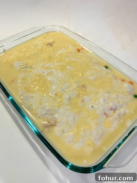Quick One-Pan Chicken Cobbler Recipe 12 img 18003 11