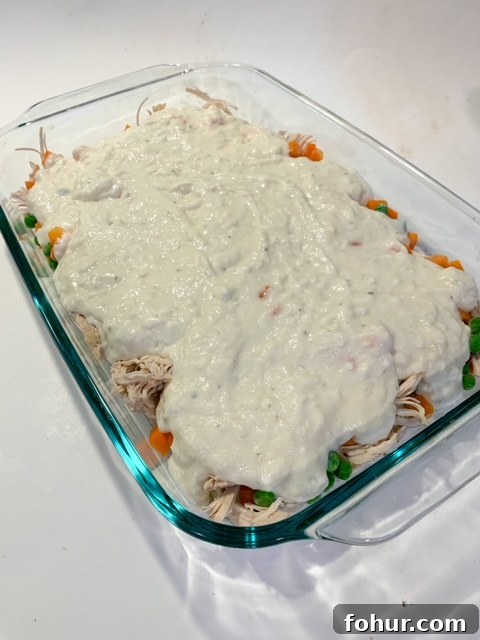 Quick One-Pan Chicken Cobbler Recipe 10 img 18003 9
