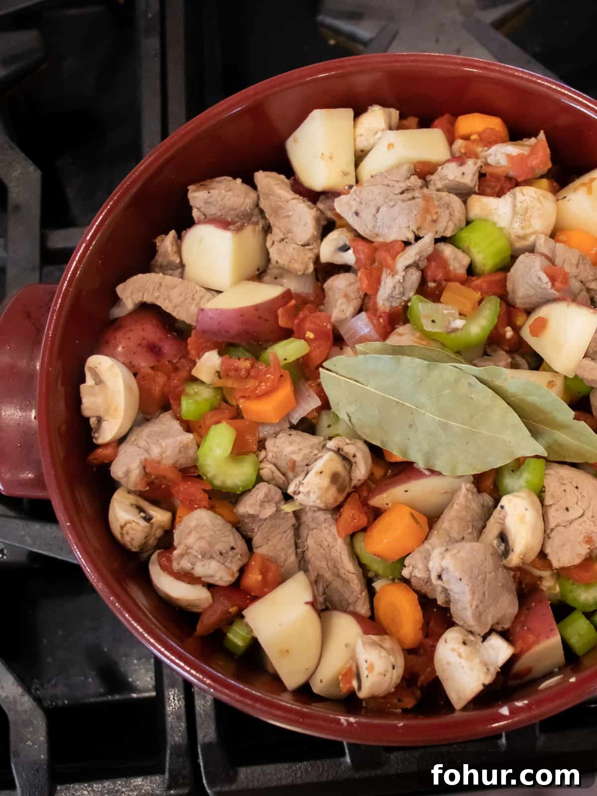 Classic Pork Stew Recipe: Tender Slow-Simmered Pork & Vegetables 7 Overhead picture of a pot filled with uncooked stew.