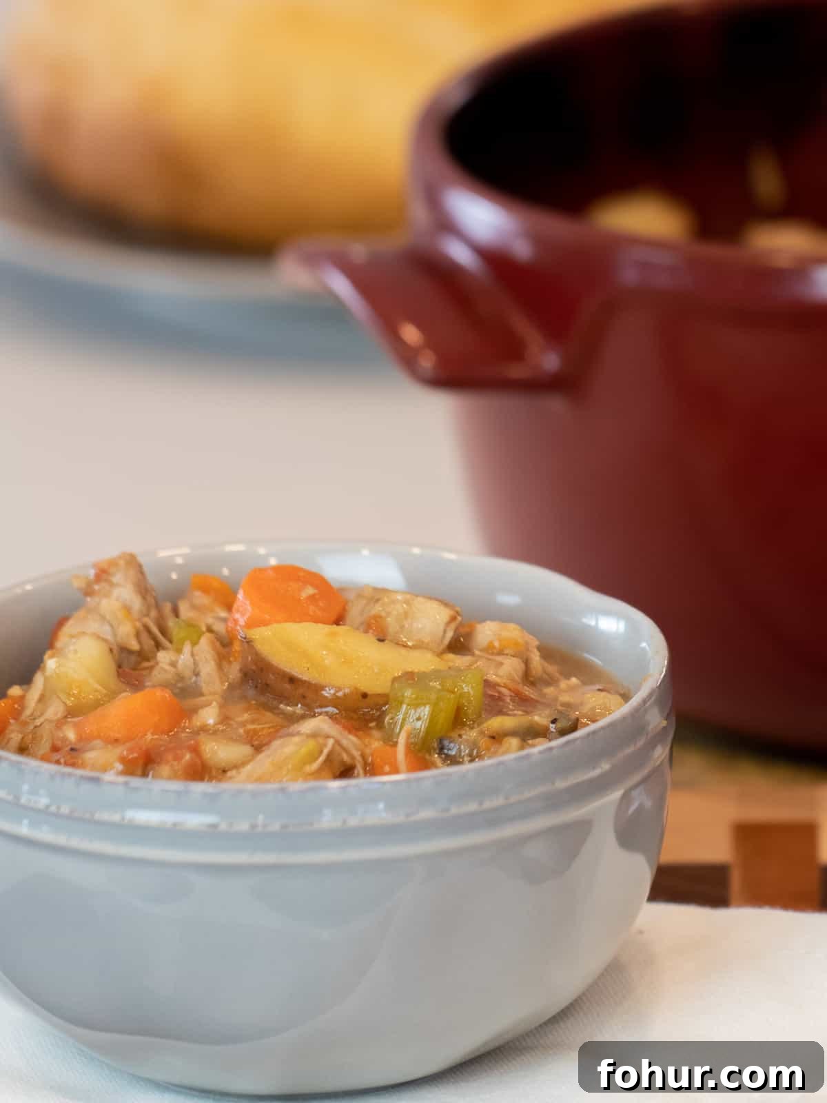 Classic Pork Stew Recipe: Tender Slow-Simmered Pork & Vegetables 9 A bowl of stew in front of a red dutch oven.