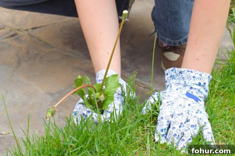 How to Start a Family Landscaping Business 3 pulling weeds beside walkway