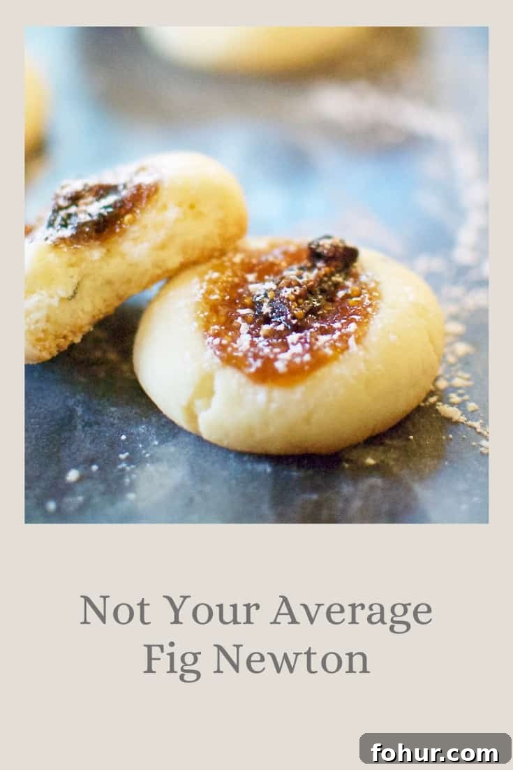The Almontina Official Site 11 Not Your Average Fig Newton