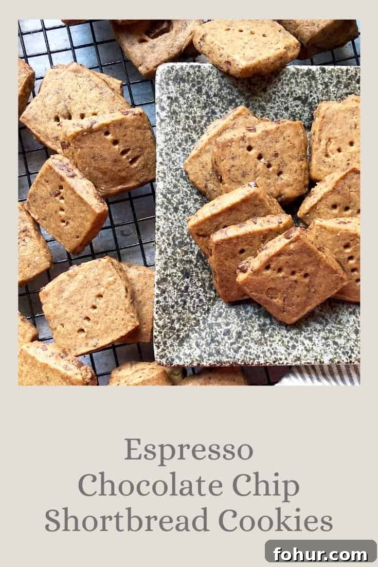 The Almontina Official Site 9 Espresso Chocolate Chip Shortbread Cookies