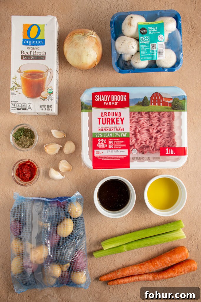 Witches' Brew Stew: Halloween Soup Recipe 3 Ingredients for Halloween soup laid out on a tabletop.