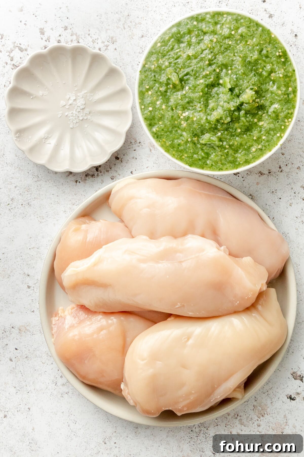 Instant Pot Salsa Chicken Recipe for Tacos and Meal Prep 2 Ingredients for instant pot salsa chicken sit in a variety of plates on a light grey surface.