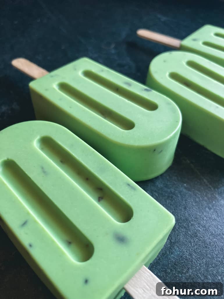 Mint Chip Ice Cream Pops Recipe 4 mint chip vegan ice cream (refined sugar-free)