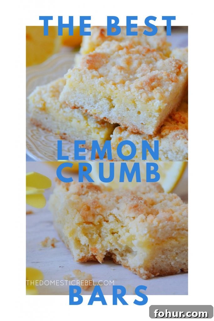 best lemon crumb bars photo collage