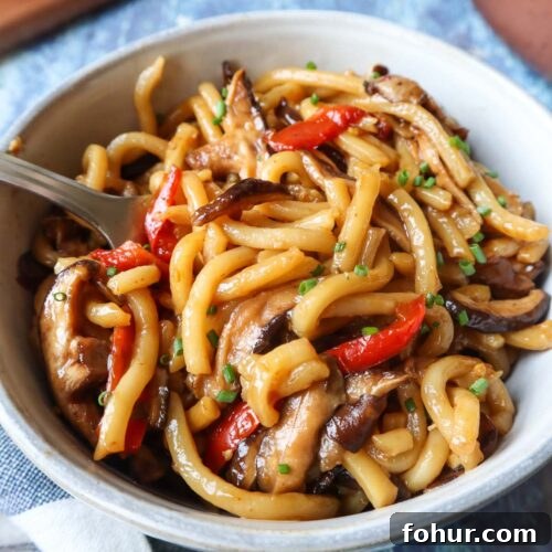bowl with teriyaki udon topped with chives and made with red pepper and mushrooms