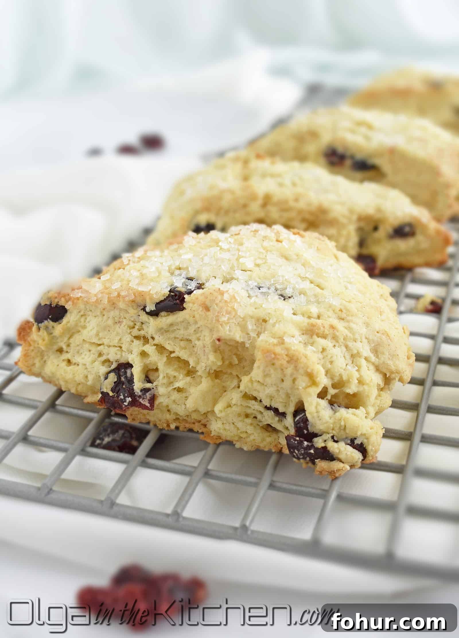 Flaky Homemade Cranberry Scones Recipe 2 Cranberry Scones: deliciously soft on the inside, crispy on the outside, buttery, flaky and so perfect in every way.