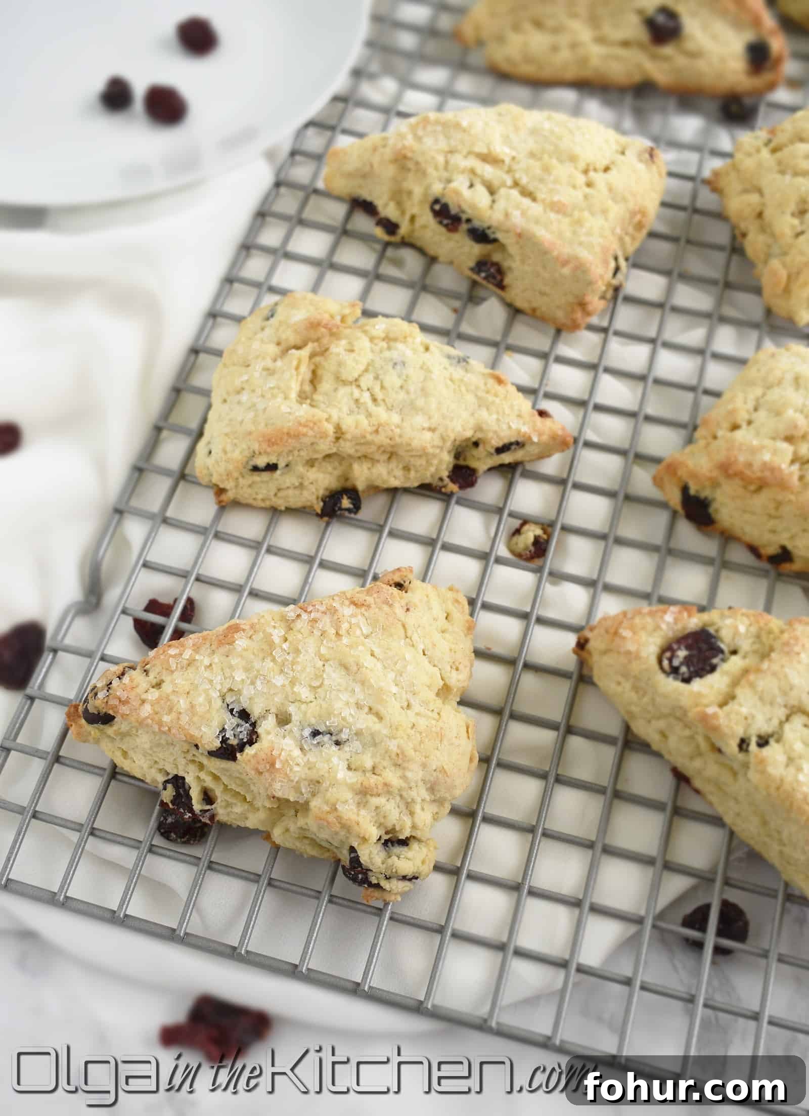 Flaky Homemade Cranberry Scones Recipe 3 Cranberry scones on a plate